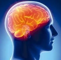 موجات المخ الكهربائية تساعد المصابين بالشلل