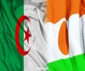 بعد " 16 " شهرا : إعادة فتح الحدود البرية بين الجزائر والنيجر