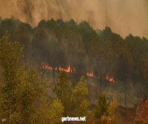 أردوغان يعلن 5 ولايات مناطق منكوبة جراء الحرائق