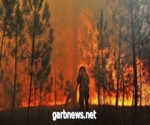 ارتفاع حصيلة ضحايا حرائق الغابات في تركيا إلى 8 قتلى و 864 مصابا