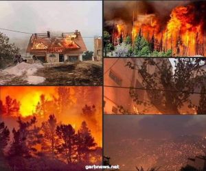 ارتفاع عدد حرائق الغابات في الجزائر إلى 99 عبر 16 ولاية