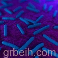 بكتيريا قاتلة قد تكتب نهاية المضادات الحيوية