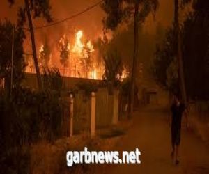 وكالة الفضائية الجزائرية: مصدر حرائق الغابات "إجرامي"