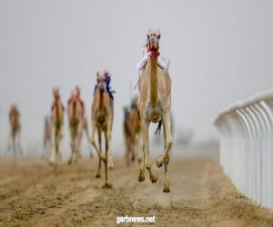 البكرة " الهبوب" تُسجل أفضل توقيت في سابع أيام مهرجان ولي العهد للهجن3