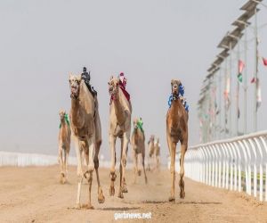 القعود "هلال" يُحقق أفضل توقيت في مساء تاسع أيام مهرجان ولي العهد للهجن3