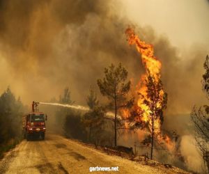 فرق الإطفاء تكافح حريق غابات ضخما في جنوب فرنسا