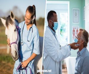 أمريكيون يتناولون دواءً مخصصاً للخيول لعلاج كورونا.. "والغذاء والدواء": أنت لست حصاناً أو بقرة