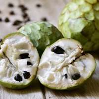 فاكهة “القشطة” الخضراء تقاوم السرطان وغنية بفيتامينات "ب"و"ج