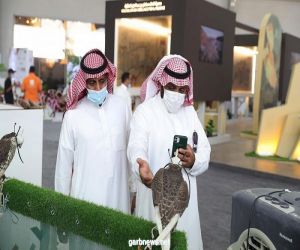 صقّارون ومشاركون بمعرض الصقور : المعرض والصيد السعودي وجهة عالمية لجميع محبي هواية الصيد بالصقور