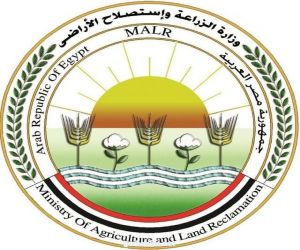 "وزارة الزراعة المصرية " تنفي صحة ما تم تداوله عن استيراد شحنات موز فاسدة من الصومال