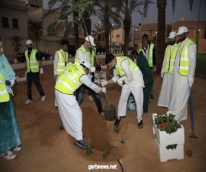 سعادة أهالينا تنفذ مبادرة "تشجير" للمساهمة في تحقيق"مستهدفات "السعودية الخضراء"