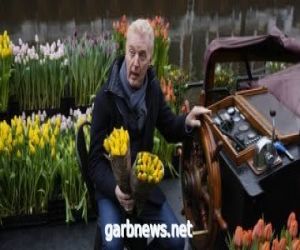 مزارعون يوزعون الزهور فى أمستردام بسبب فتح المتاجر بعد إغلاق كورونا