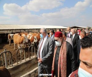 -  وزير الزراعة : التوسع في مشروع تنمية الثروة الحيوانية تكاملا مع مشروع "حياه كريمة"  في مصر