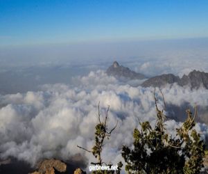 أبرزها مدينة الضباب.. هذه أهم 3 وجهات سياحية في المملكة