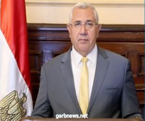 مصر.. تصدير 11 شحنة من نحل العسل إلى المملكة