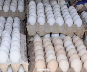 حقيقة تصدير منتجات البيض الى دول مجاورة بأسعار أقل من الموجودة داخل المملكة