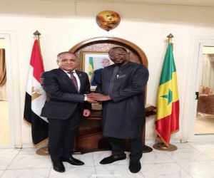 وفد المصريين الأفارقة في اجتماع مصغر مع سفير السنغال بالقاهرة