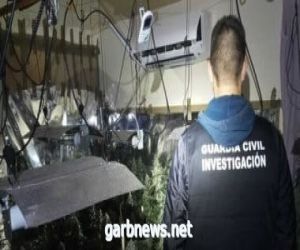 إسبانيا تفكك عصابة لتهريب المخدرات وتصادر كمية كبيرة من الحشيش
