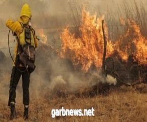إجلاء أكثر من 12000 شخص بسبب حرائق الغابات فى فرنسا