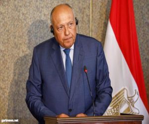 وزيرا خارجية مصر والهند يبحثان ملف سد النهضة الإثيوبي