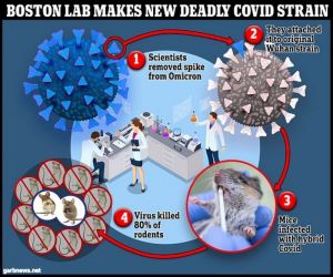 لعب بالنار.. علماء أمريكيون يطوّرون سلالة جديدة من فيروس كورونا تقتل بنسبة 80%