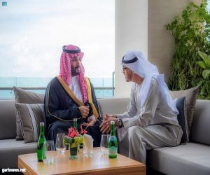 سمو ولي العهد يلتقي سمو رئيس دولة الإمارات وذلك على هامش انعقاد قمة مجموعة العشرين