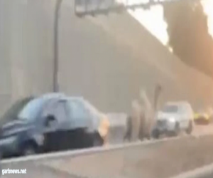 مرور الرياض يباشر حادث سقوط جمل على طريق تركي الأول تسبب في تضرر مركبة