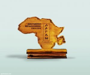 مصر تفوز بجائزة الابتكار والابداع في مؤتمر الرابطة الافريقية للإدارة العامة