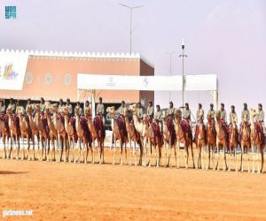 الهجانة السلطانية تستعرض فَنّي "العازي" و"الهمبل" أمام جماهير مهرجان الإبل