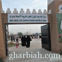 مركز الملك عبدالعزيز للخيل العربية الأصيلة بديراب يعلن إقامة دورات تدريبية