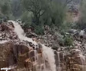 فيديو : أمطار متوسطة اإى غزيرة على محافظة أضم
