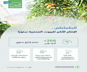 "البيئة": أكثر من 266 ألف طن طاقة إنتاجية سنوية للبيوت المحمية من محصول الطماطم