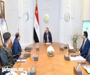 الرئيس السيسي يوجه بمواصلة جهود تنفيذ المخطط العام لتنمية شبه جزيرة سيناء