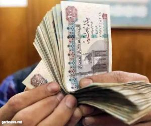ارتفاع مبيعات أذون الخزانة المصرية في أعقاب تراجع العملة