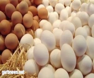 إقبال كبير على تربية الدجاج فى المنازل بنيوزيلندا لتعويض نقص البيض الشديد