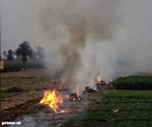 جولات ميدانية على المزارع لمواجهة حرق المخلفات الزراعية وتدويرها بالطريقة الصحيحة