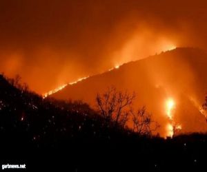 مقتل 13 شخصاً وسط كفاح لاحتواء حرائق غابات في تشيلي