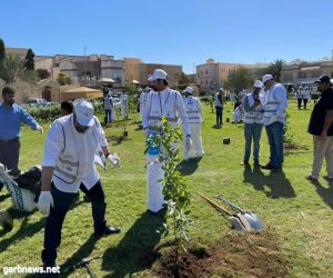 "أمانة جدة" تفعل مبادرة غراس الخير لتحقيق رؤية ٢٠٣٠ السعودية الخضراء