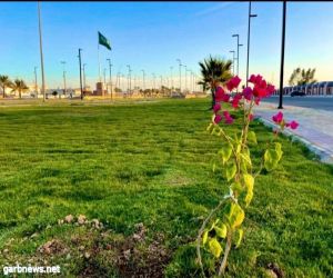 استعدادًا لعيد الفطر المبارك بلدية بيشة تُنهي تهيئة ٣٤ حديقةً بالمحافظة