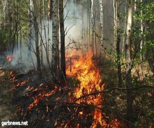 مقتل 21 شخصاً بسبب حرائق الغابات في روسيا