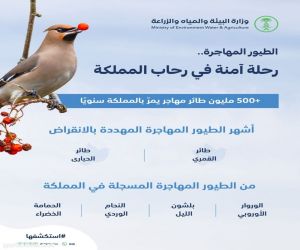 "البيئة": أكثر من 500 مليون طائر مهاجر يمر بالمملكة سنويًّا