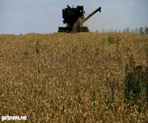 ارتفاع أسعار القمح بعد انهيار سد كاخوفكا