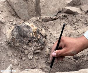 اكتشاف مومياء عمرها 3000 عام في بيرو