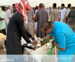 وزارة البيئة والمياه والزراعة فرع محافظة القنفذة تطلق" حملة أضحيتي"