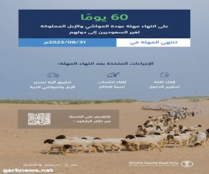 "البيئة": 60 يومًا على انتهاء مهلة عودة المواشي والإبل المملوكة لغير السعوديين إلى دولهم.