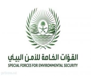 القوات الخاصة للأمن البيئي تضبط (75) مخالفًا لنظام البيئة لارتكابهم مخالفات رعي