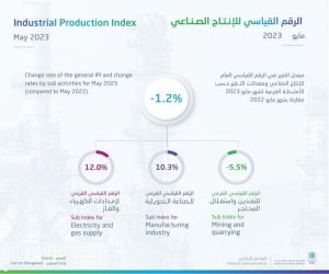 الهيئة العامة للإحصاء تصدر نشرة مؤشر الرقم القياسي للإنتاج الصناعي لشهر مايو