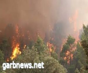 إجلاء آلاف الأشخاص بعد انتشار حرائق الغابات في جزيرة إسبانية