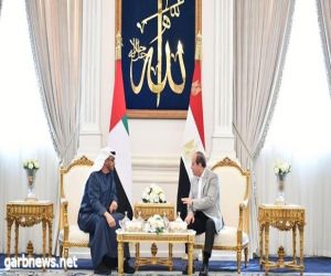 الرئيس المصري يلتقي رئيس دولة الإمارات