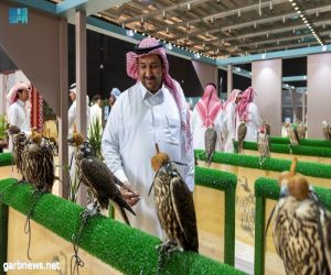 صقَّار سعودي يشتري 3 صقور في اليوم الأول للمزاد الدولي لمزارع إنتاج الصقور